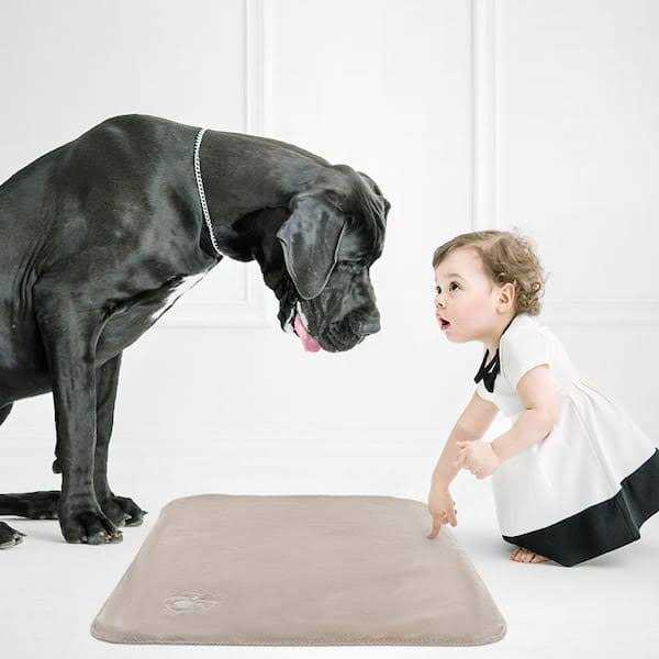 Waterproof Pet Blanket Throw L26714