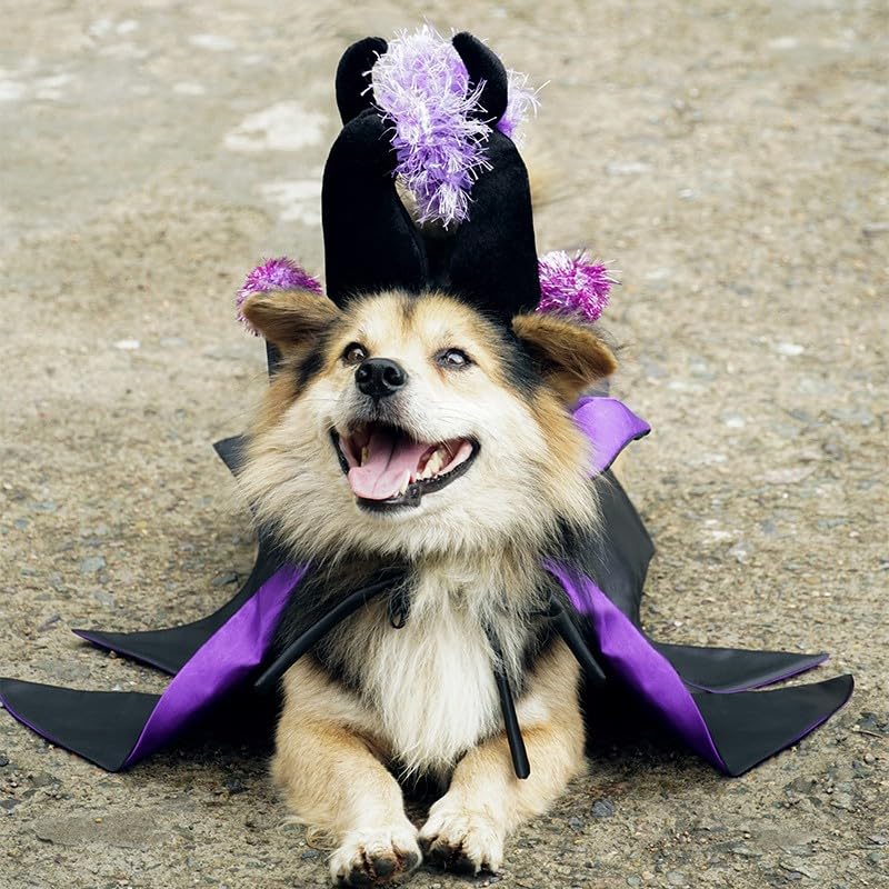 Pet Vampire Costume with Bat Wing Cape and Witch Hat N24656