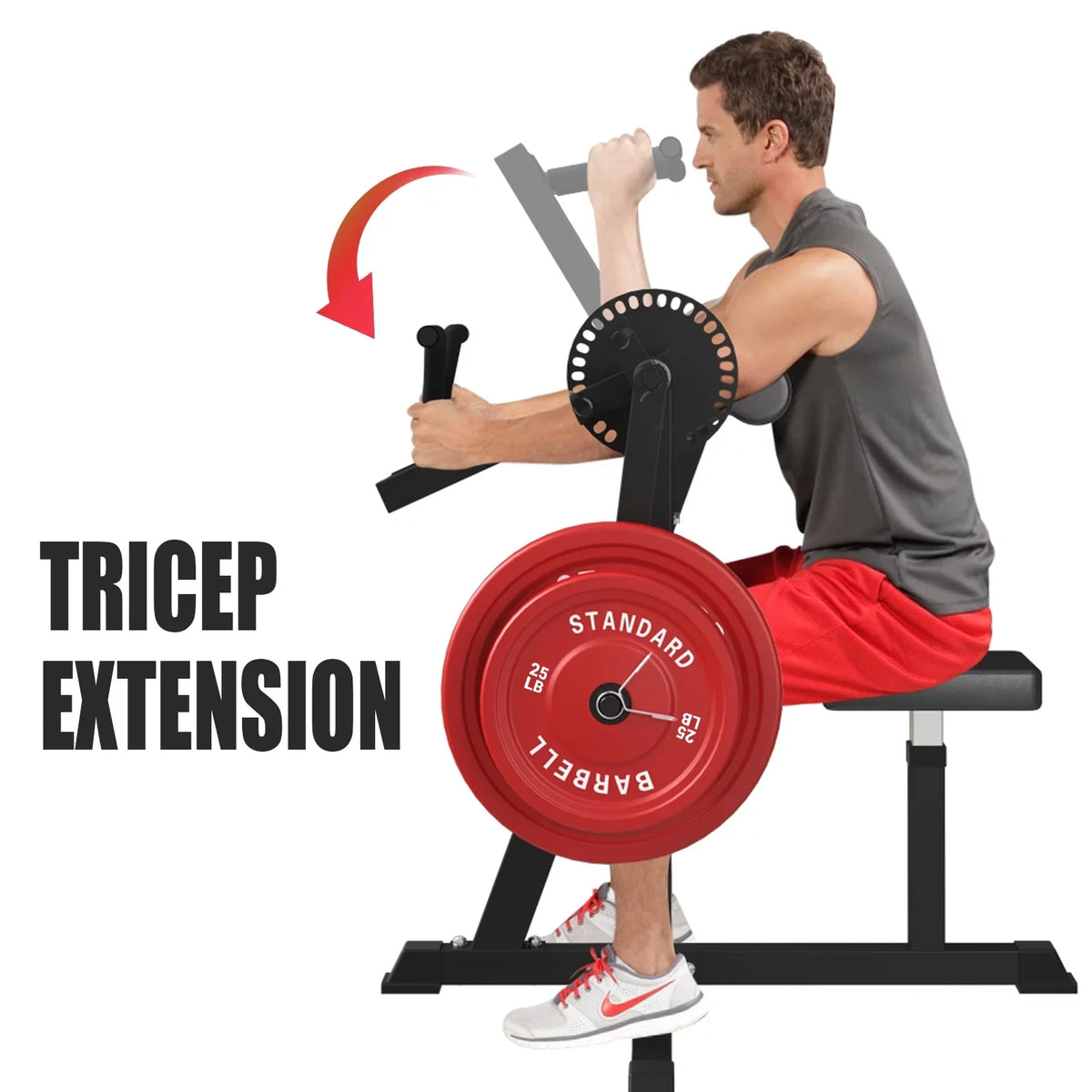 Bicep Curl and Tricep Press Extension Machine 2 in 1 T250224