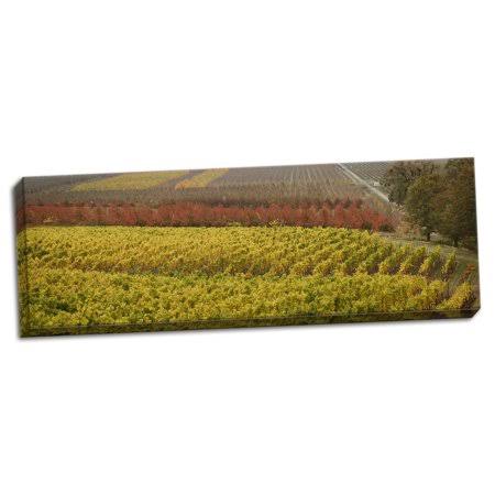 Hand-Stretched Canvas 12 x 36 Brown I933