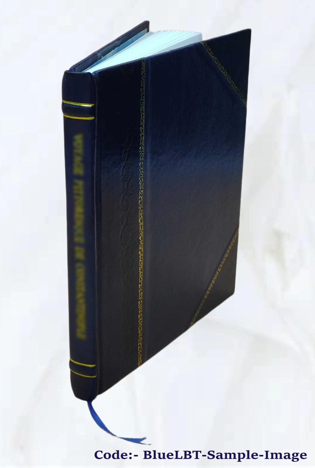Leather Bound Book L119010