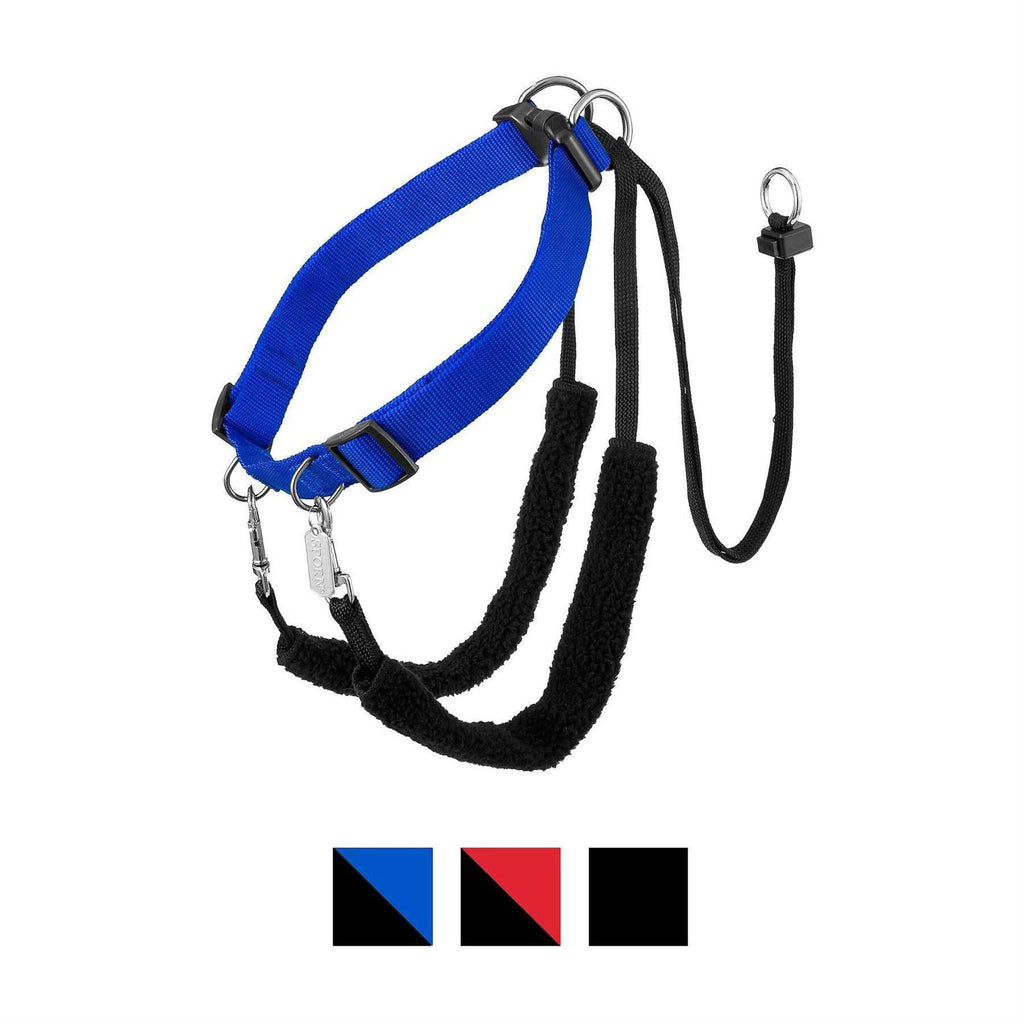 Training Halter M610619