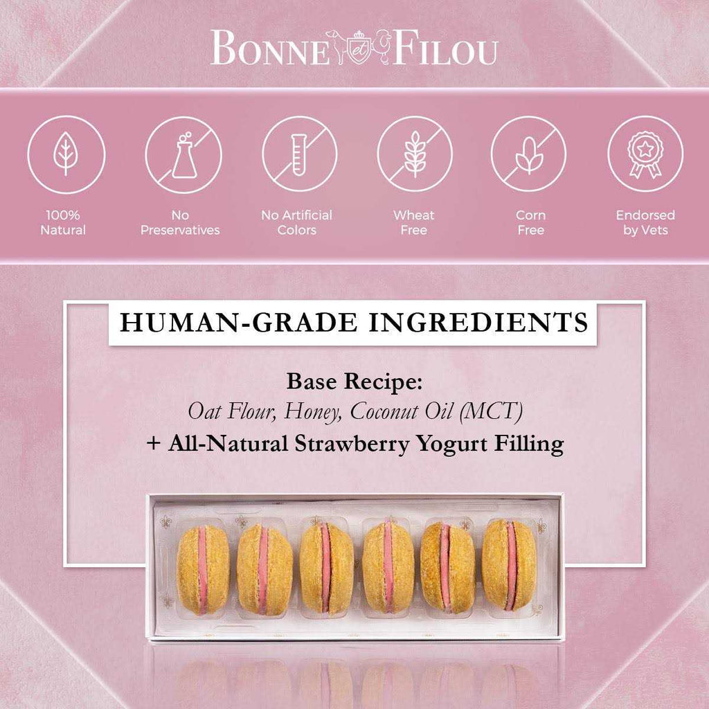 Dog Macarons K126645