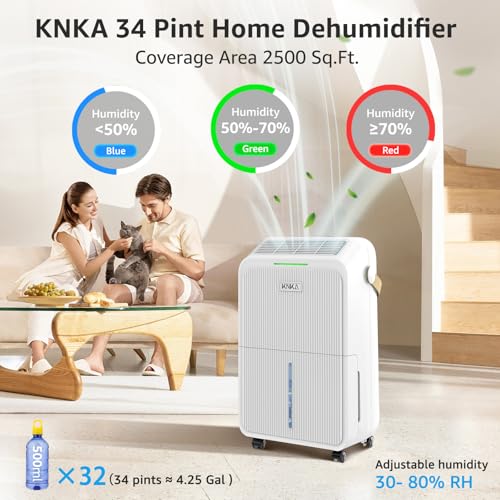 21 Pint Dehumidifier with Drain Hose X369098