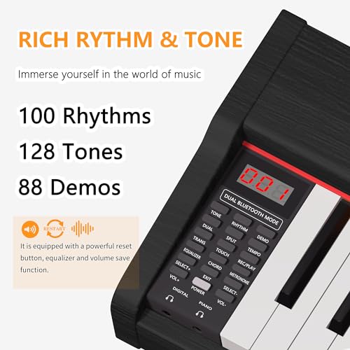 Black 88 Key Fully Weighted Hammer Action Digital Piano G198