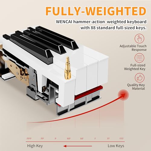 Black 88 Key Fully Weighted Hammer Action Digital Piano G198