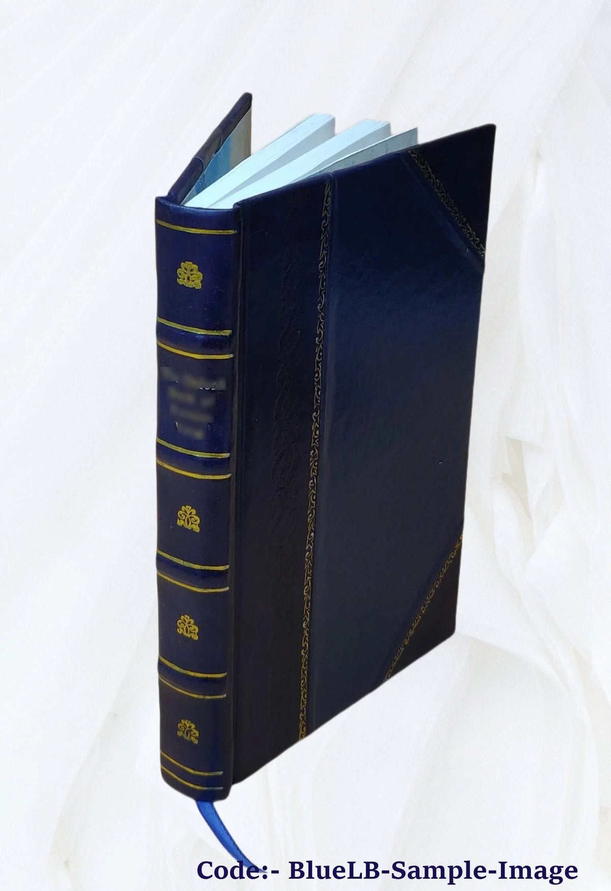 Surface Waters of Massachusetts Leather Bound P907364