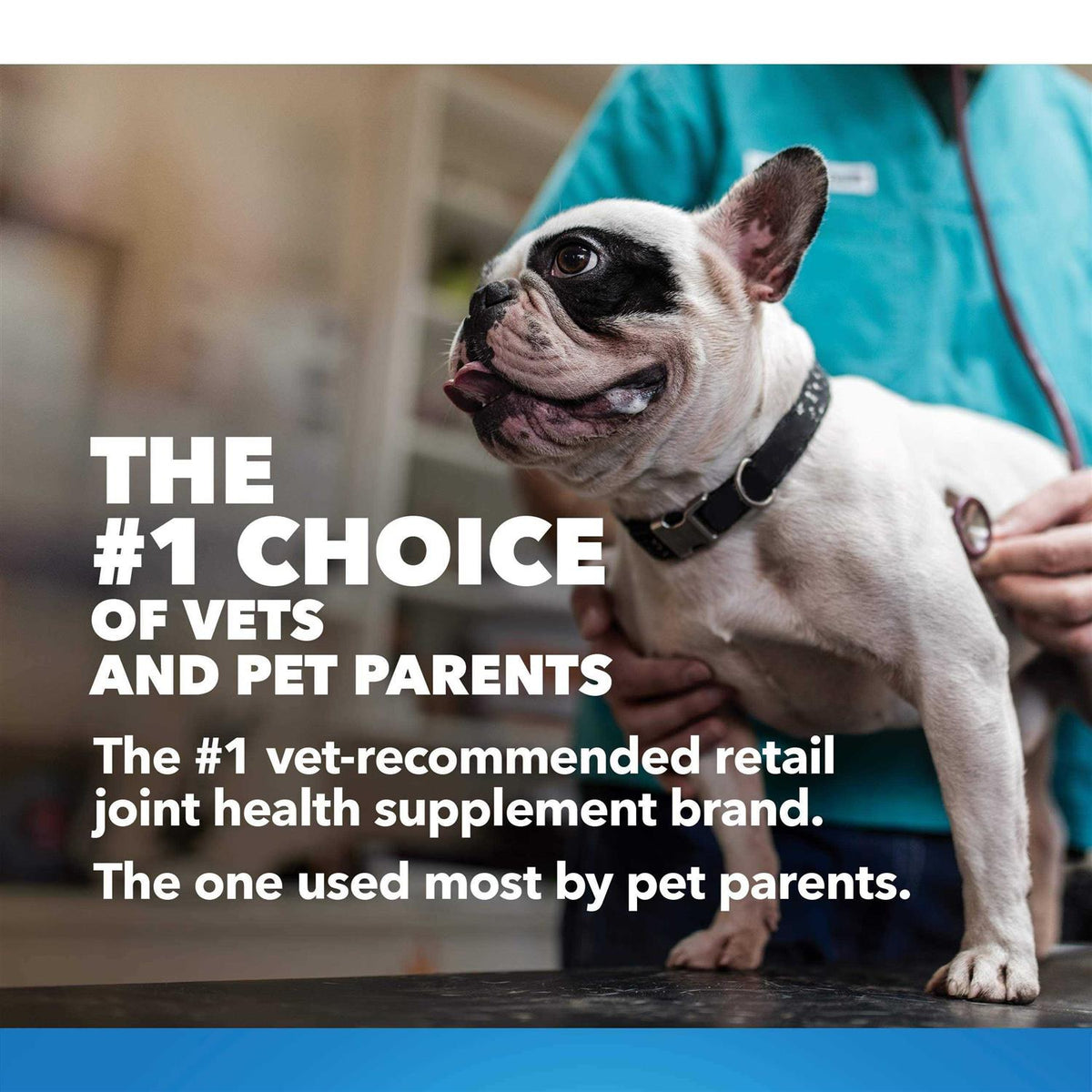 Maximum Strength MSM & HA for Dogs O593357