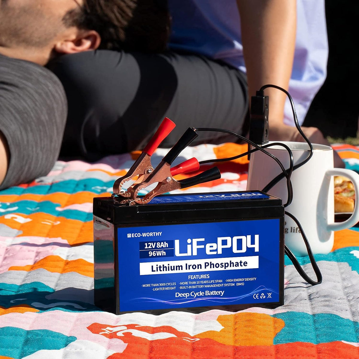 12V 8Ah Rechargeable LiFePO4 Battery with BMS K4213