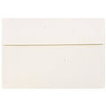 250 per Pack Envelopes P67035