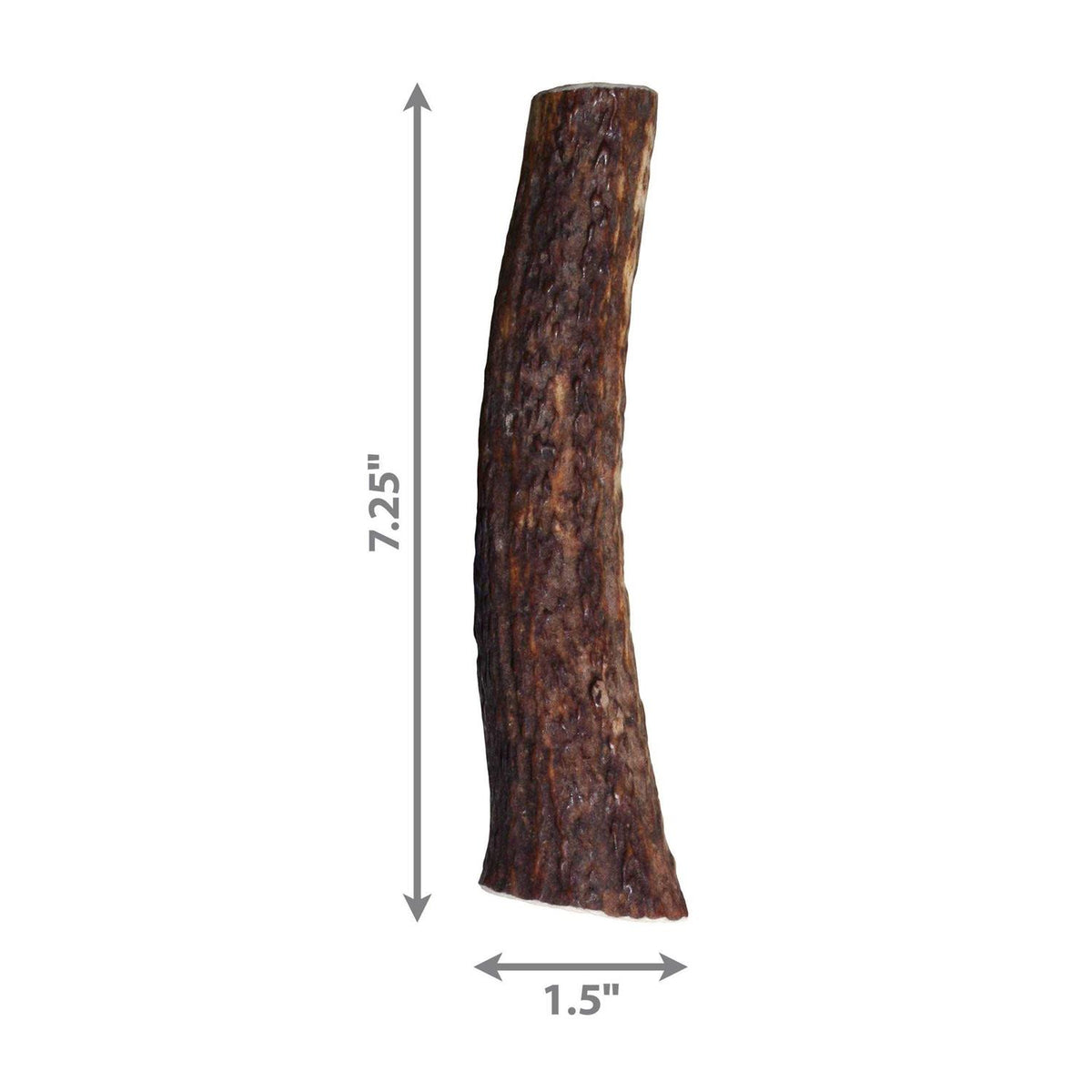 Whole Wild Elk Antler W5840