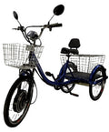 Electric Trike U173