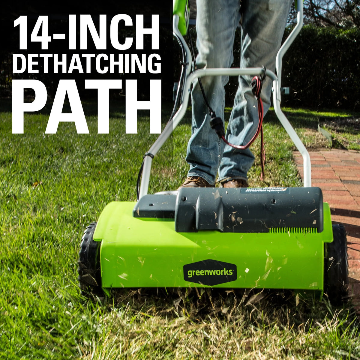 14 Amp Corded Electric Dethatcher N530728