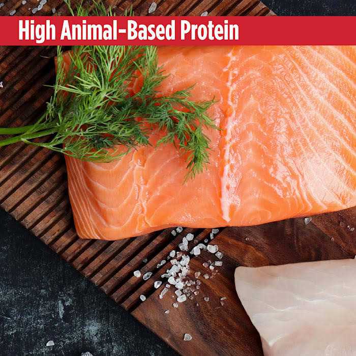 Chicken & Cod Dry Cat Food O9675