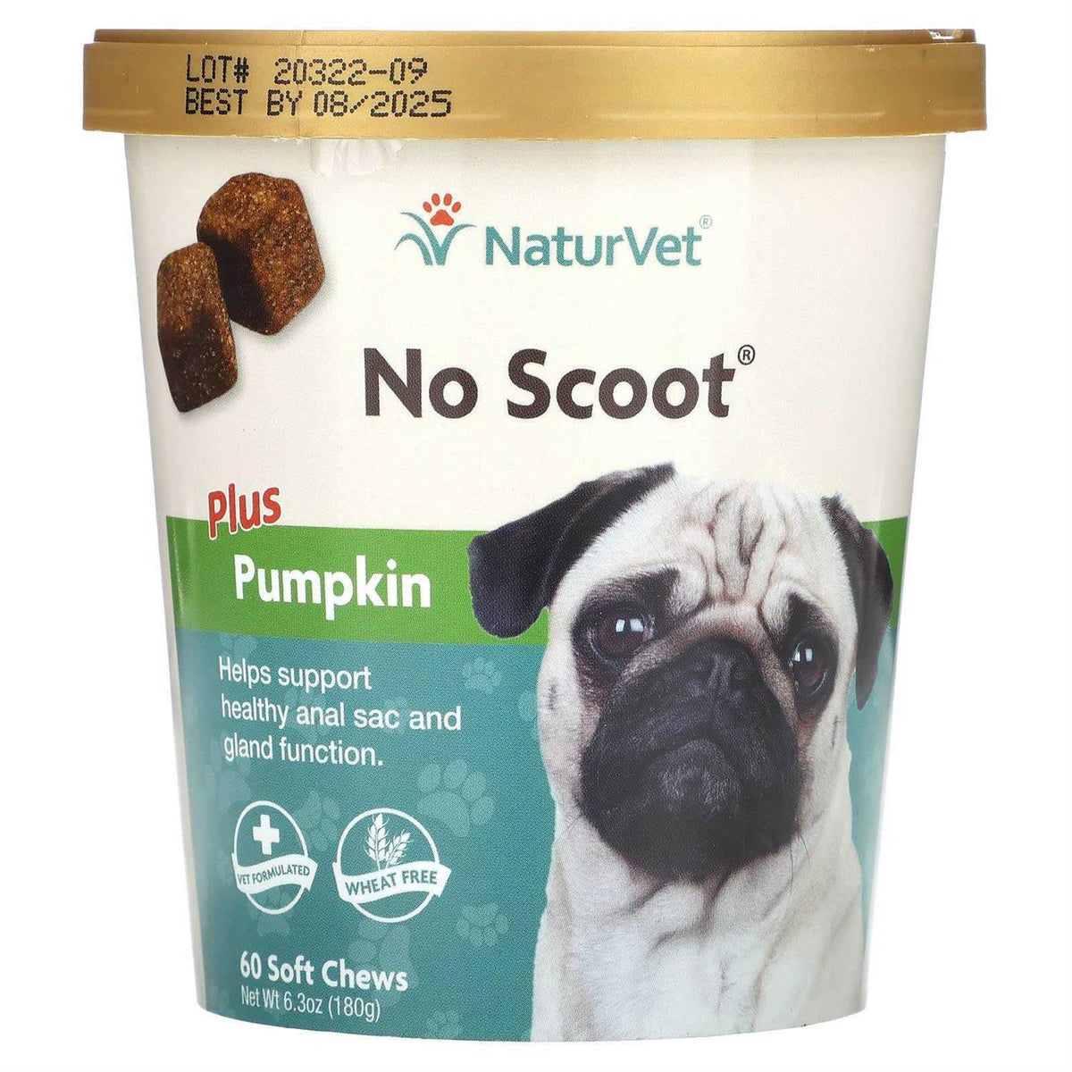 Pumpkin for Dogs J257