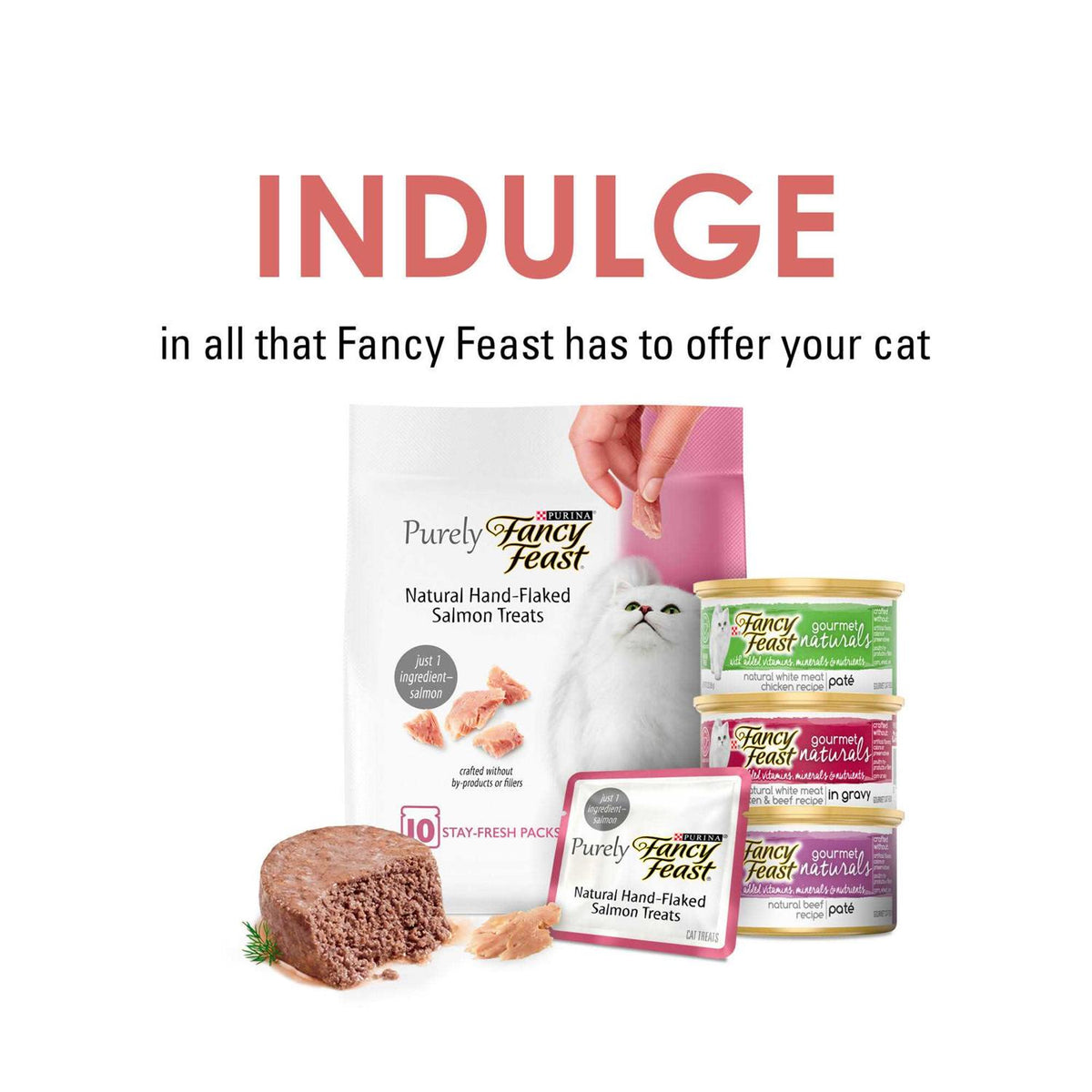 Limited Ingredient Salmon Flavor Cat Treats H5258