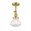 Semi-Flush Mount Light D8866