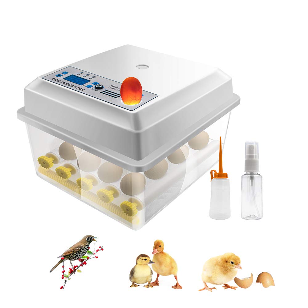 16 Eggs Digital Mini Egg Incubator with Automatic Turner and Egg Candler Tester O31690