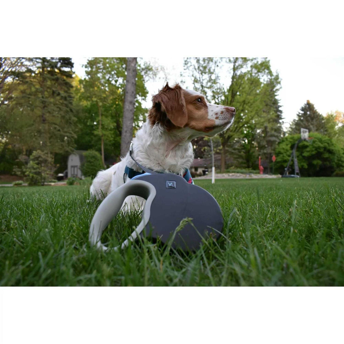 Reflective Retractable Tape Leash O64828
