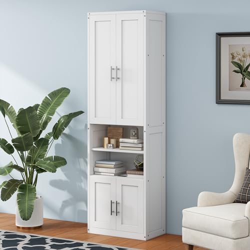 Queen Murphy Bed with 2 Side Cabinet Storage Shelf, Metal Frame, Brown J6424