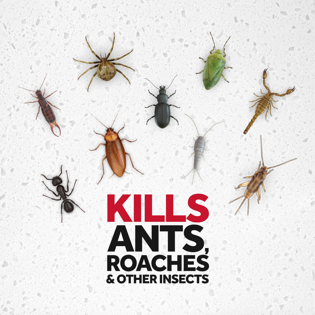 Ant and Roach Killer Spray 17.5 oz 2 Count P9011