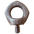 Hoist Ring P9067