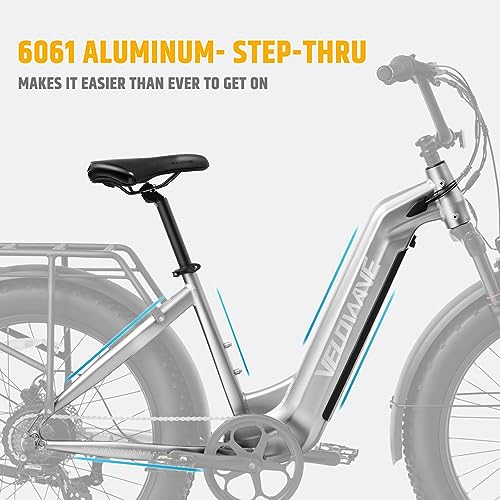 26" Fat Tire Electric Bike with 750W Brushless Motor 48V 15AH Removable Battery R5922