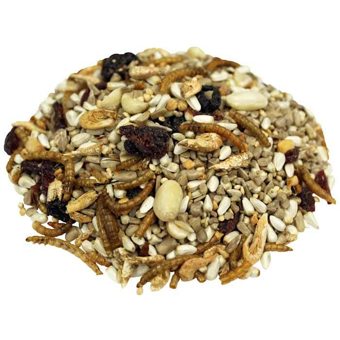 Nuts Pet Supplies Y3661