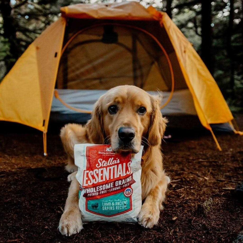 Ancient Grains Recipe Dog Food X6436
