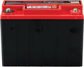 Red Top Powersports Battery Y846