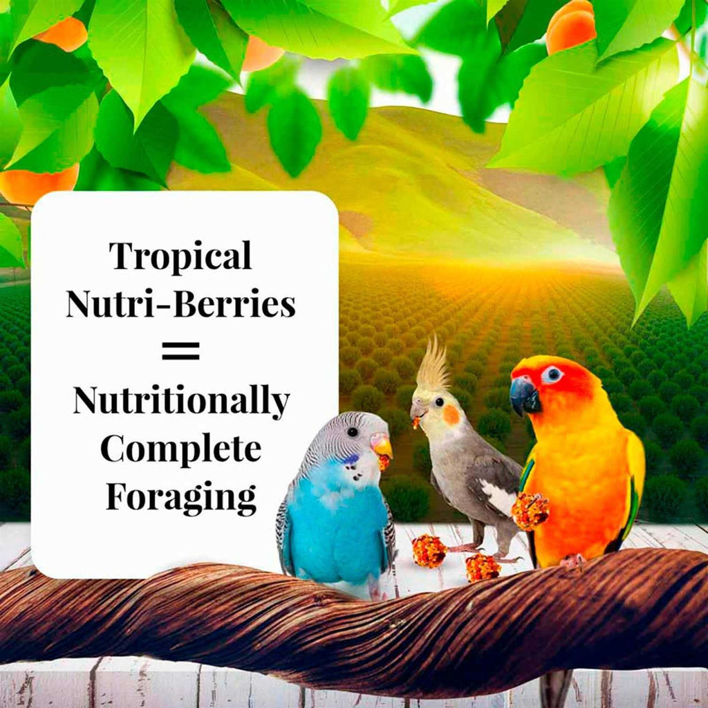 Nutri-Berries Sunny Orchard Y3124
