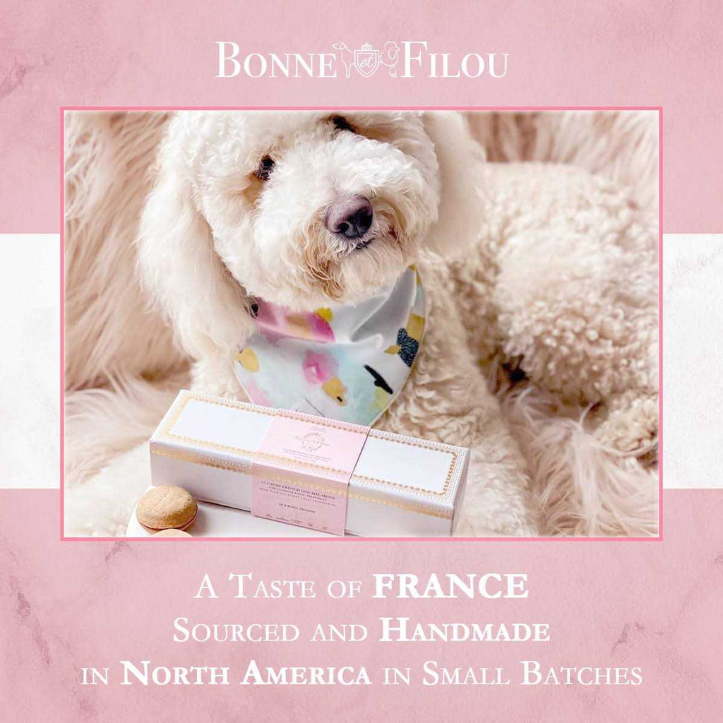 Dog Macarons K126645