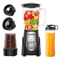 1000W BPA-Free Smoothie Blender I491