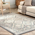 Charcoal 5x8 Stain Resistant Area Rug D970