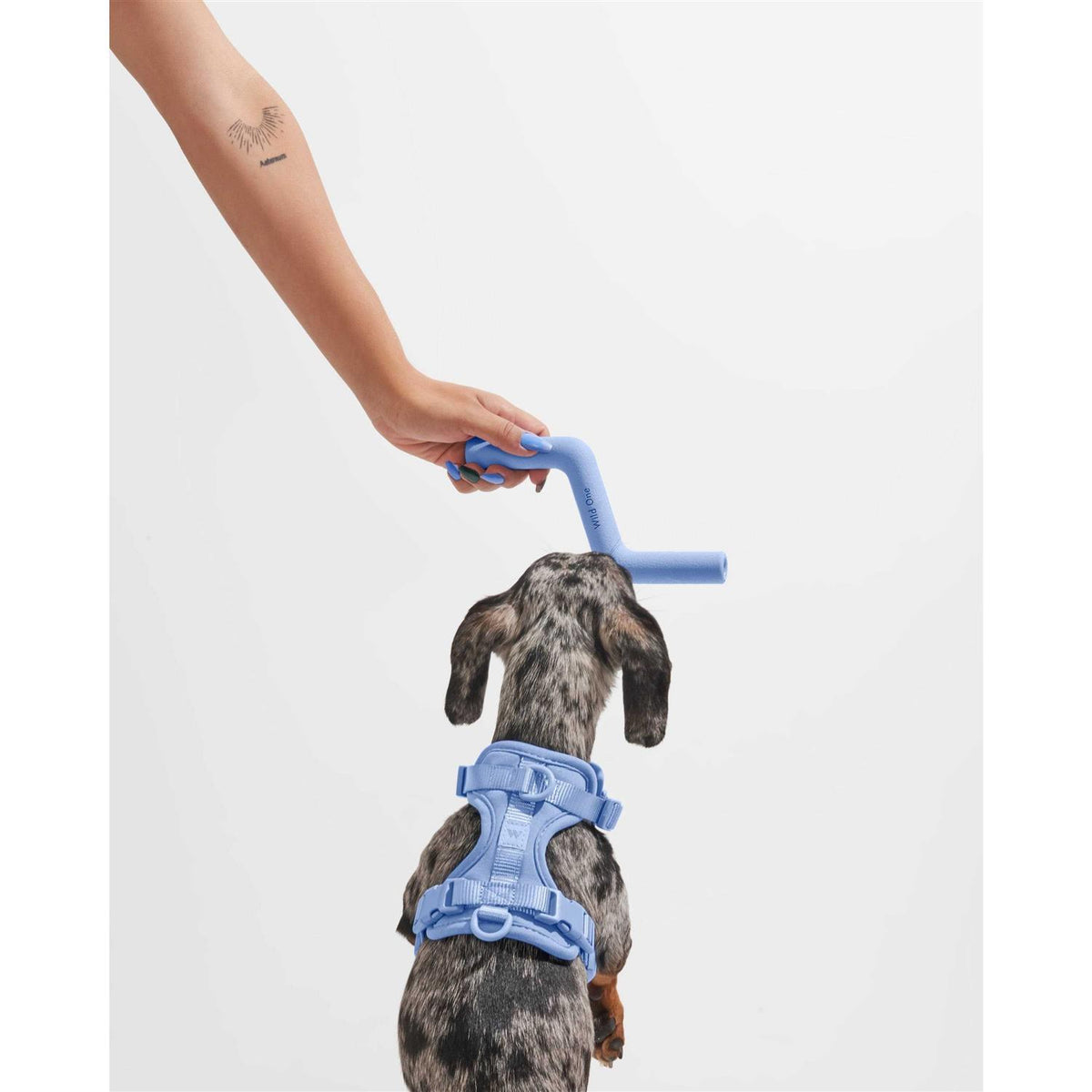 Bolt Bite Dog Toy D94389