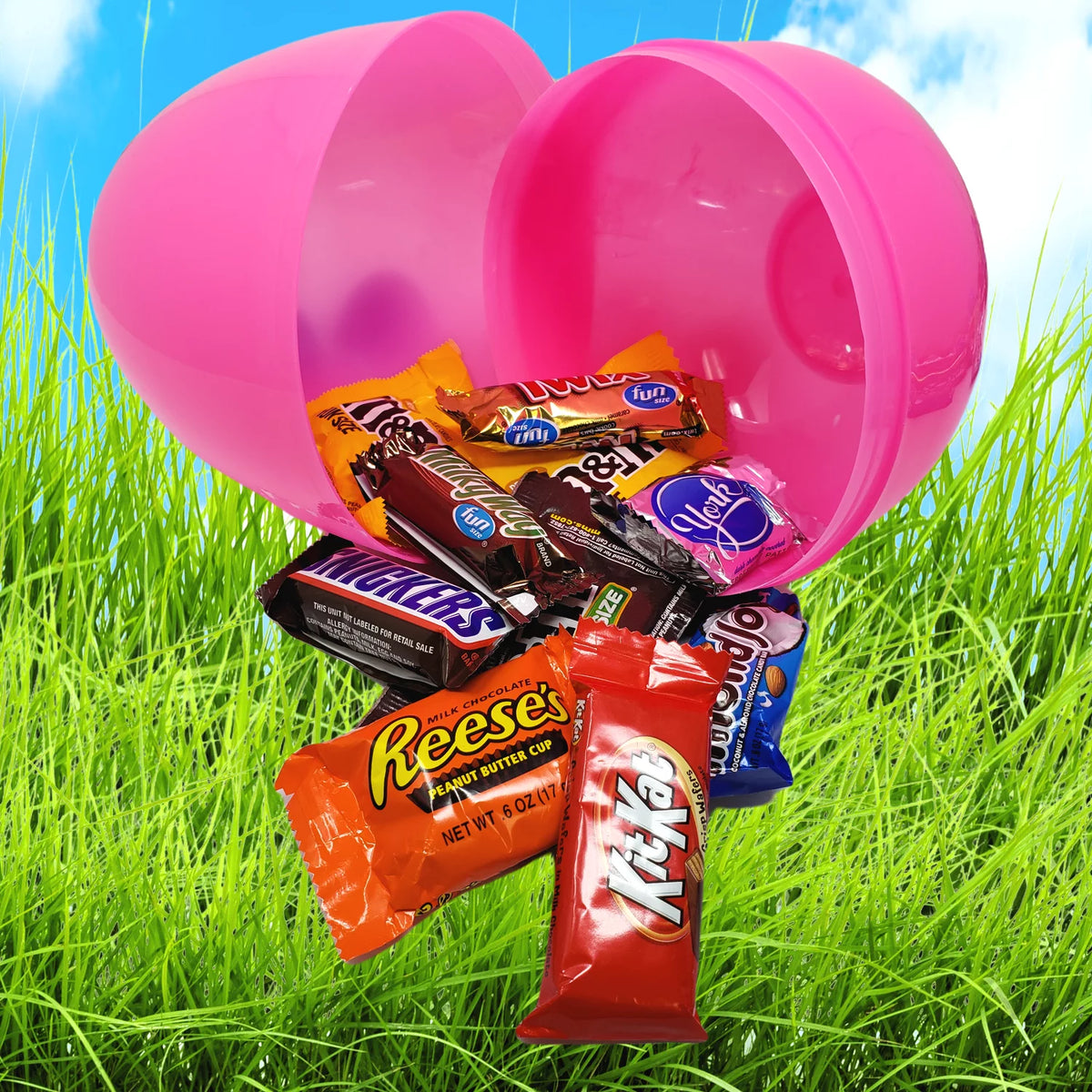 Assorted Chocolate Easter Egg Z8891