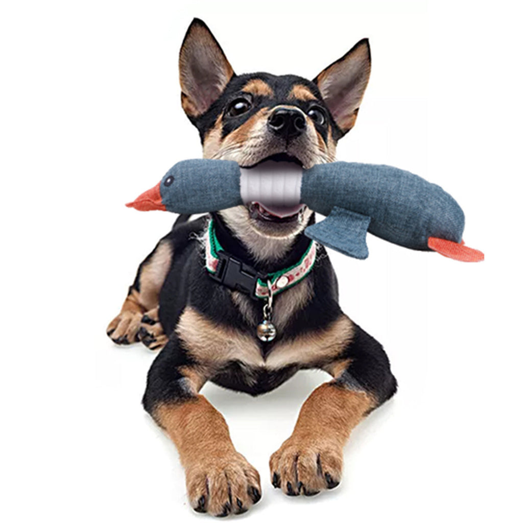 5 Pack Dog Squeaky Toys Plush Fruits Snacks and Vegetables Dog Toys P4398