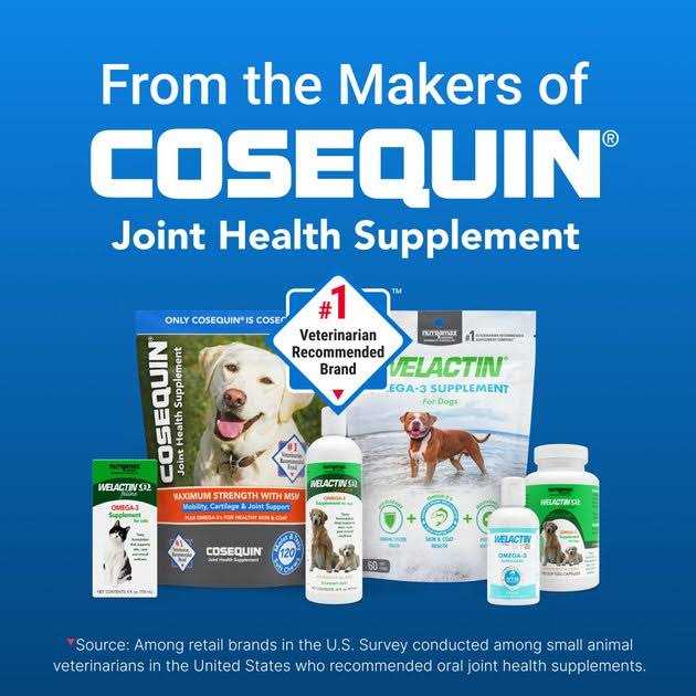 Omega-3 Supplement for Dogs Q809835