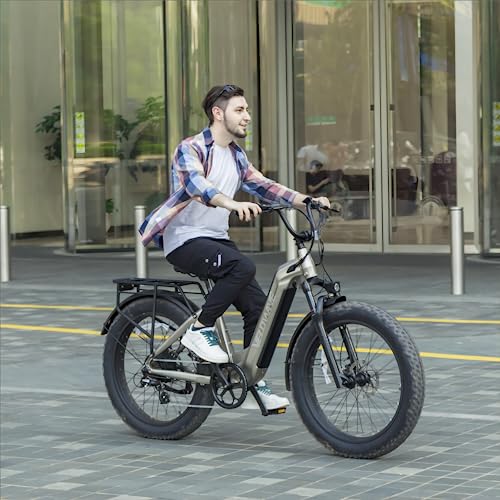26" Fat Tire Electric Bike with 750W Brushless Motor 48V 15AH Removable Battery R5922