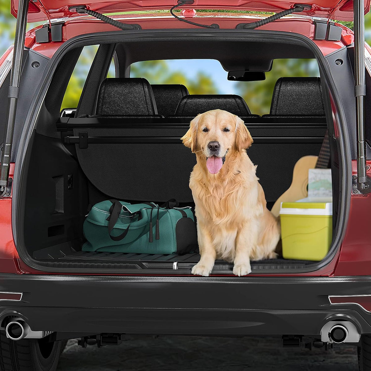Black TPE Cargo Liner Trunk Mat F919