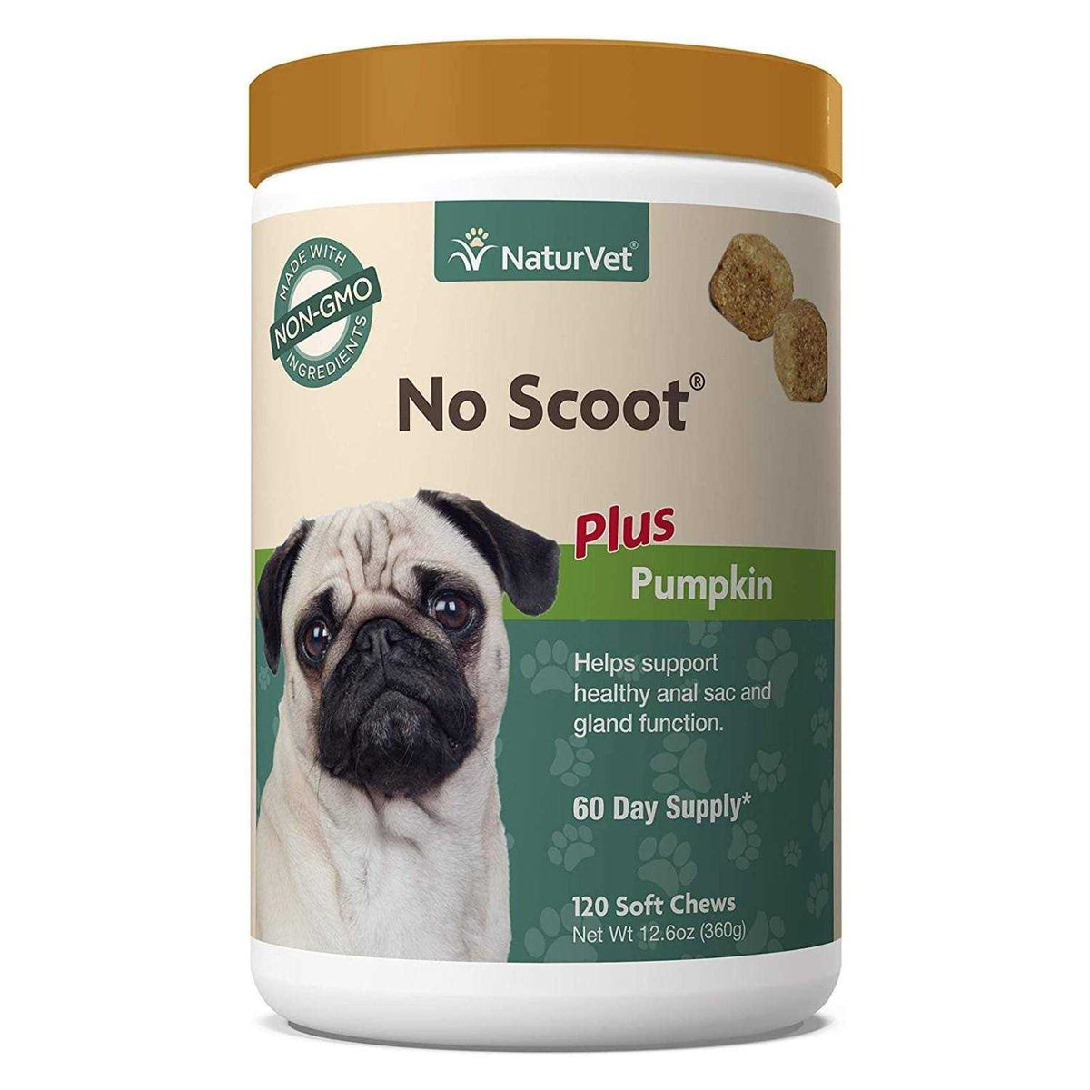 Pumpkin for Dogs J257