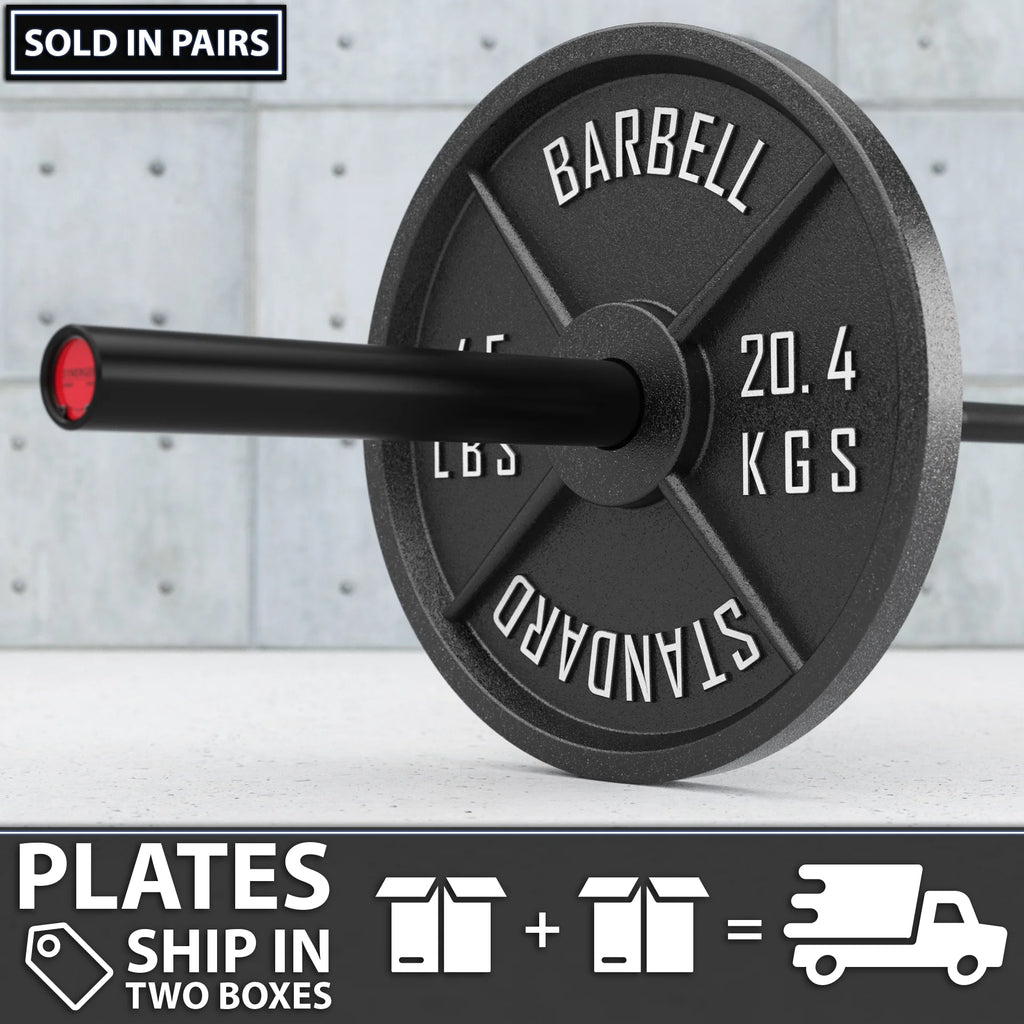 45 lb Pair Metal Weight Plates P8264