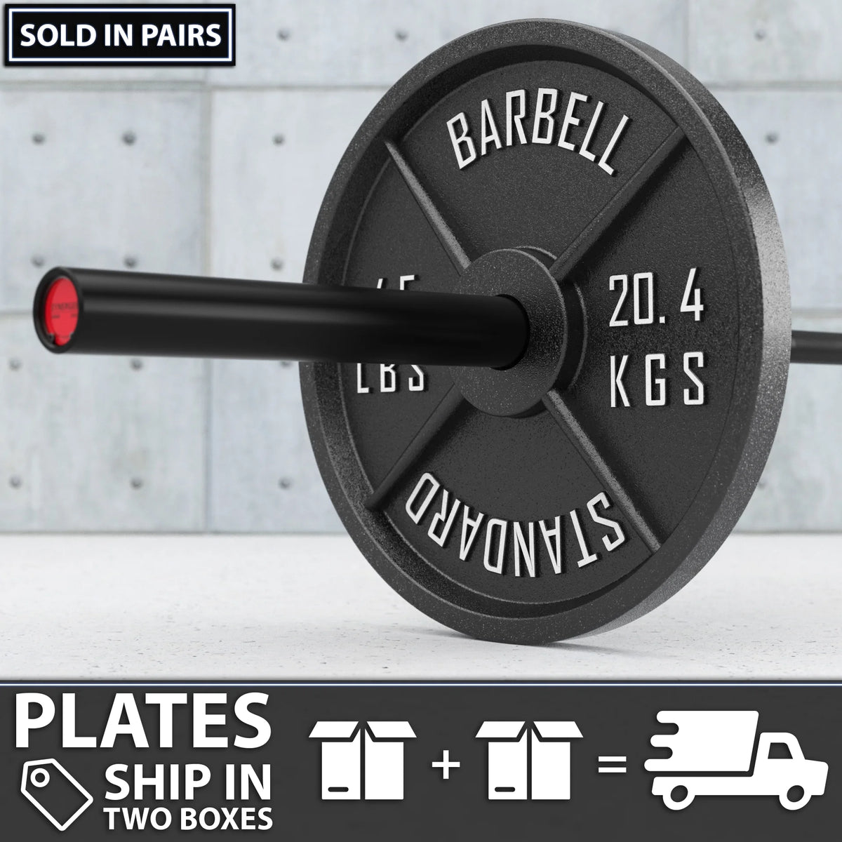 45 lb Pair Metal Weight Plates P8264