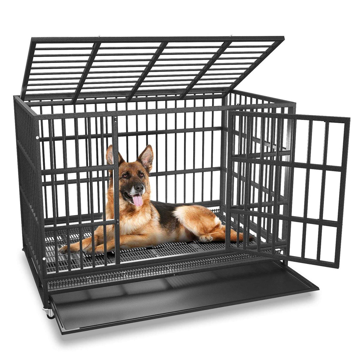 48/38 inch Heavy Duty Dog Crate G258