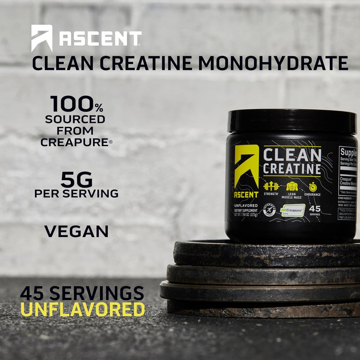 Chocolate Peanut Butter Whey Protein Powder 2 lb, Unflavored Creatine Monohydrate 45 Servings I818