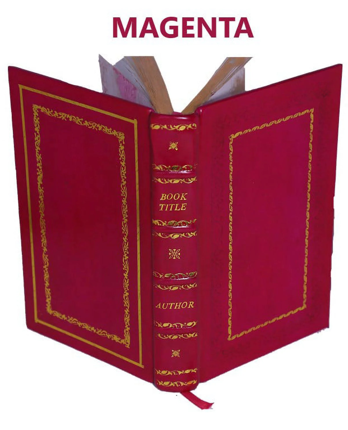 Premium Leather Bound Volume 1 U218301