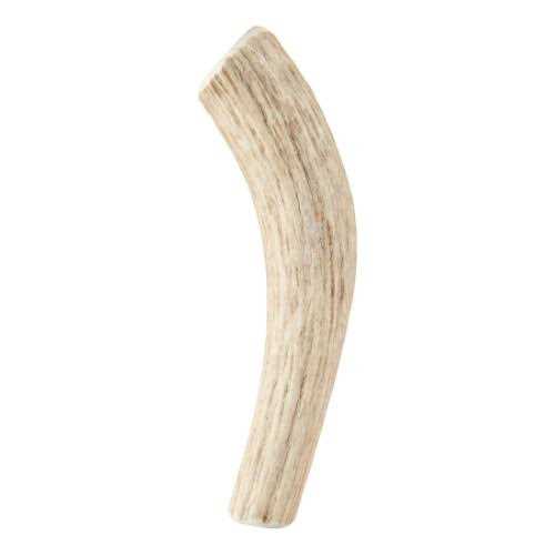 Whole Wild Elk Antler W5840