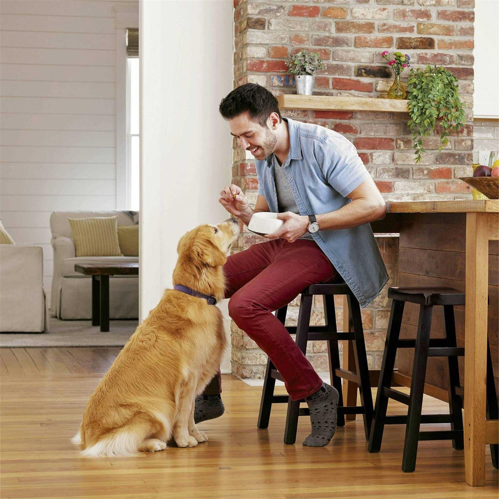 Advanced Health Adult Dry Dog Food with Real Chicken B500222