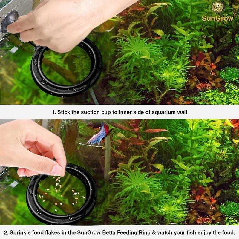 Betta & Goldfish Food Pellets & Flakes Fish Feeding Ring R5029