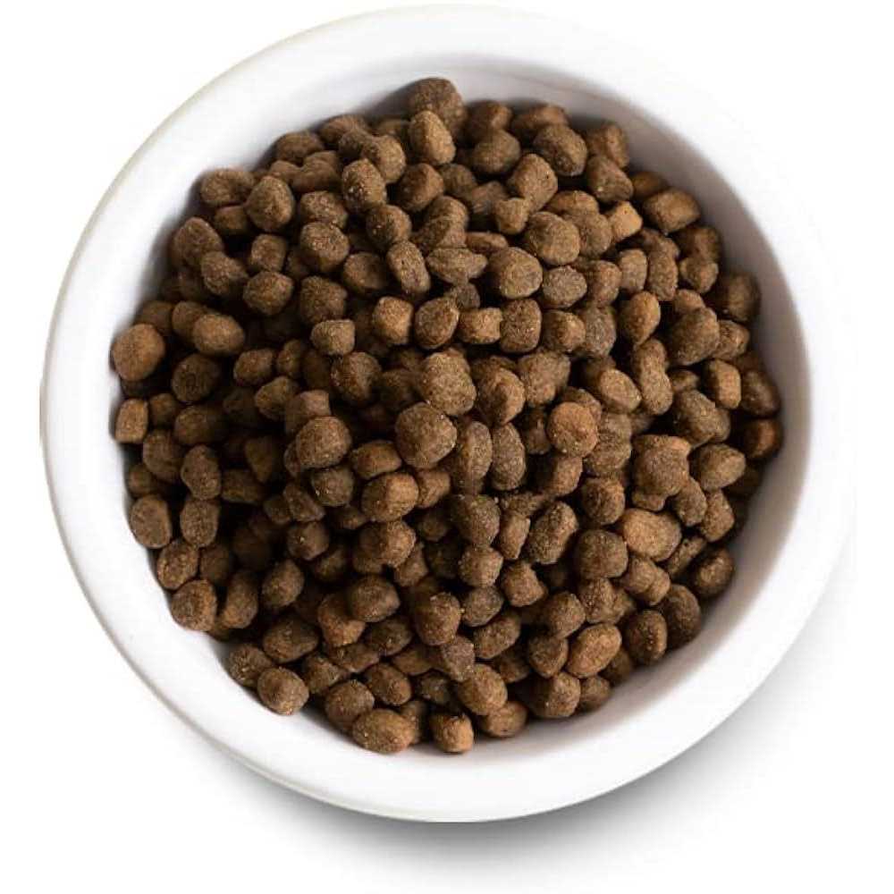 Ancient Grains Puppy Dry Dog Food B57751
